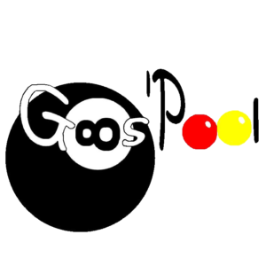 Goos Pool 6