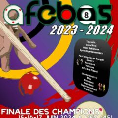 Les Goos Pool 6 ont rendez-vous avec la Finale des Champions